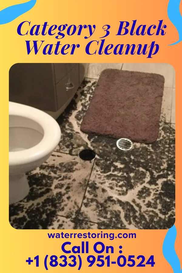 Category 3 Black Water Cleanup in Vienna, VA