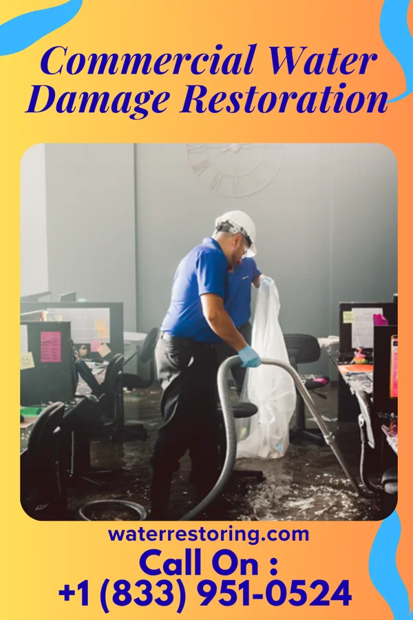 Commercial Water Damage Restoration in Vienna, VA